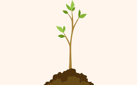 readyphonics sapling