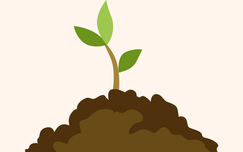 readyphonics sprout