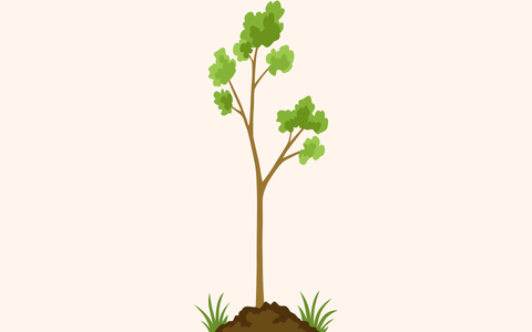 readyphonics tree