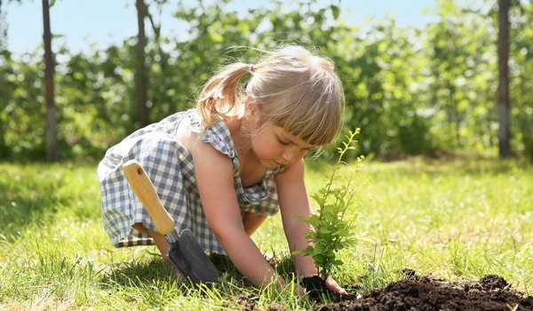 little girl planting a tree